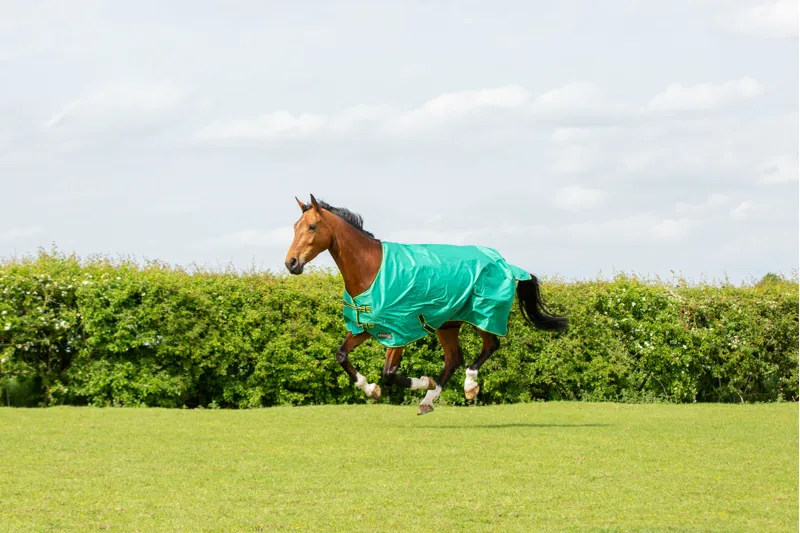 StormX Original 0g Turnout Rug - Green/Dark Green/Yellow-1